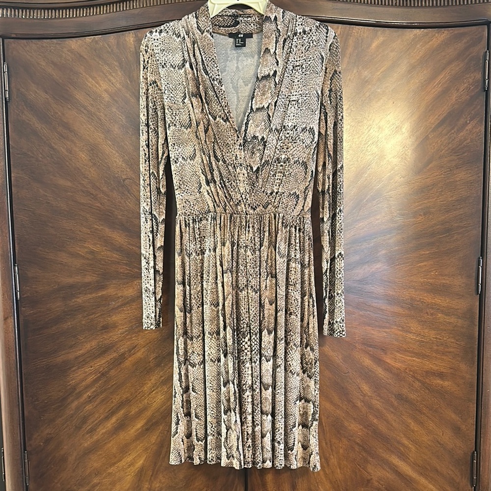 Snake Print Long Sleeve Dress